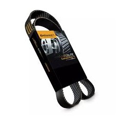 CORREIA MULTI V - CNT...